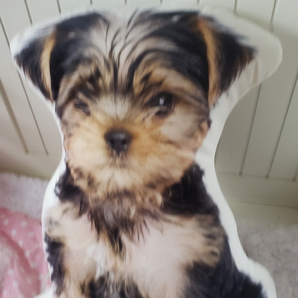 Yorkie Pillow
